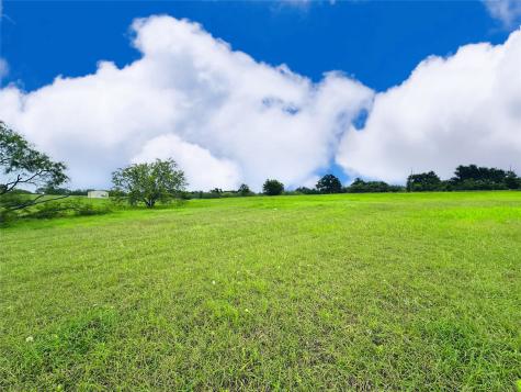 Lot 134 Lake Vista Drive Streetman TX 75859