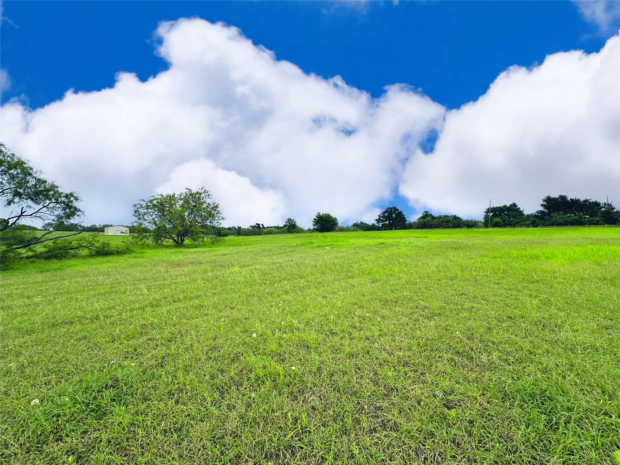 Lot 134 Lake Vista Drive Streetman TX 75859