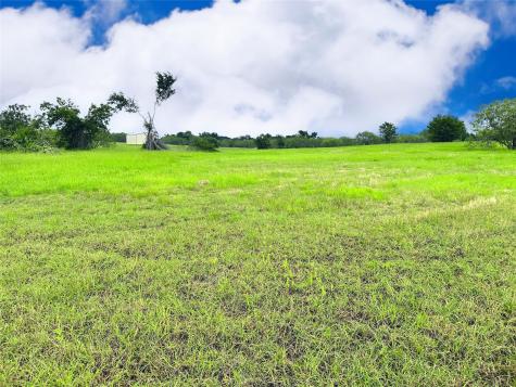Lot 134 Lake Vista Drive Streetman TX 75859