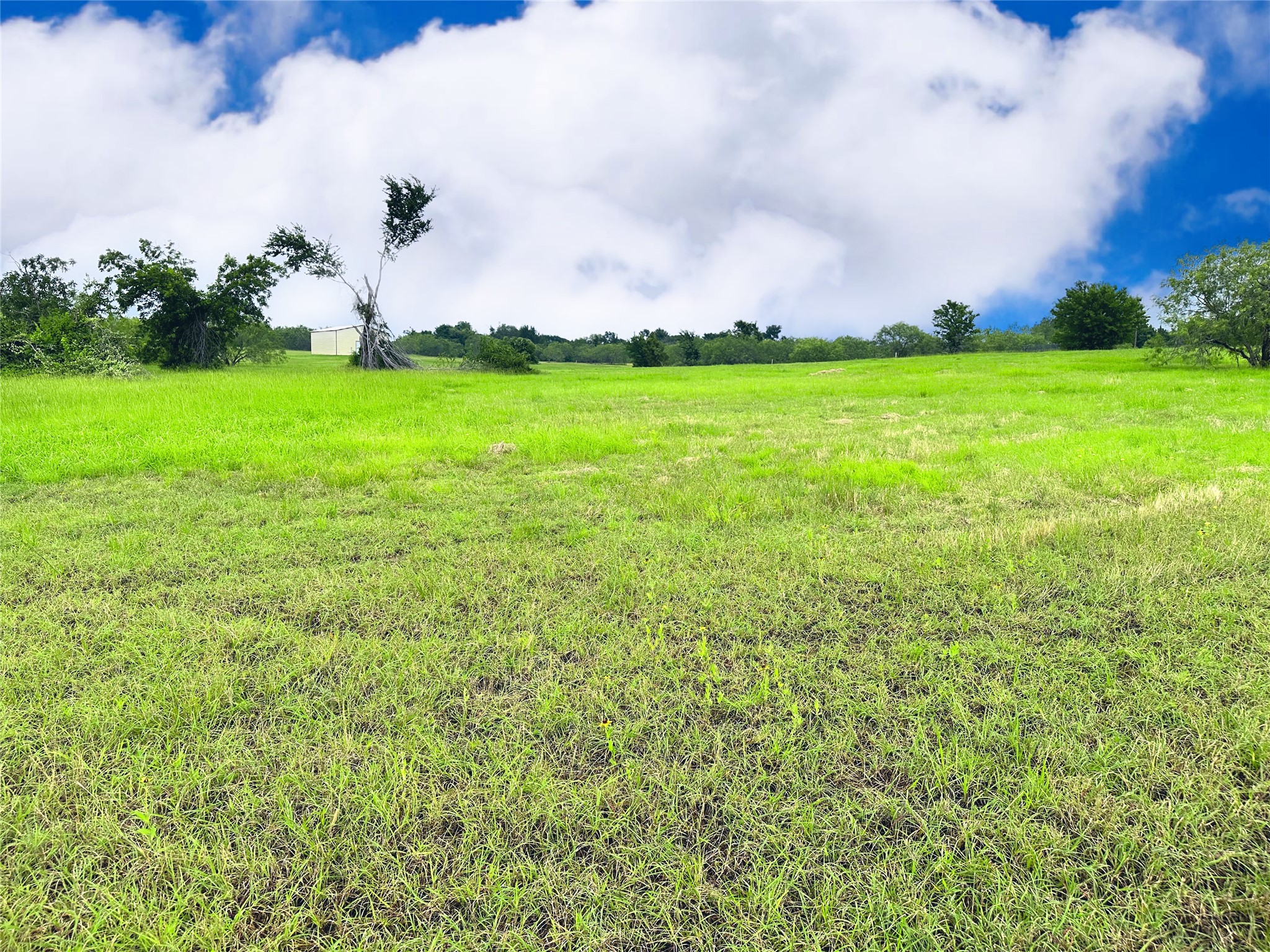 Lot 134 Lake Vista Drive Streetman TX 75859
