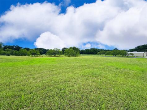 Lot 134 Lake Vista Drive Streetman TX 75859