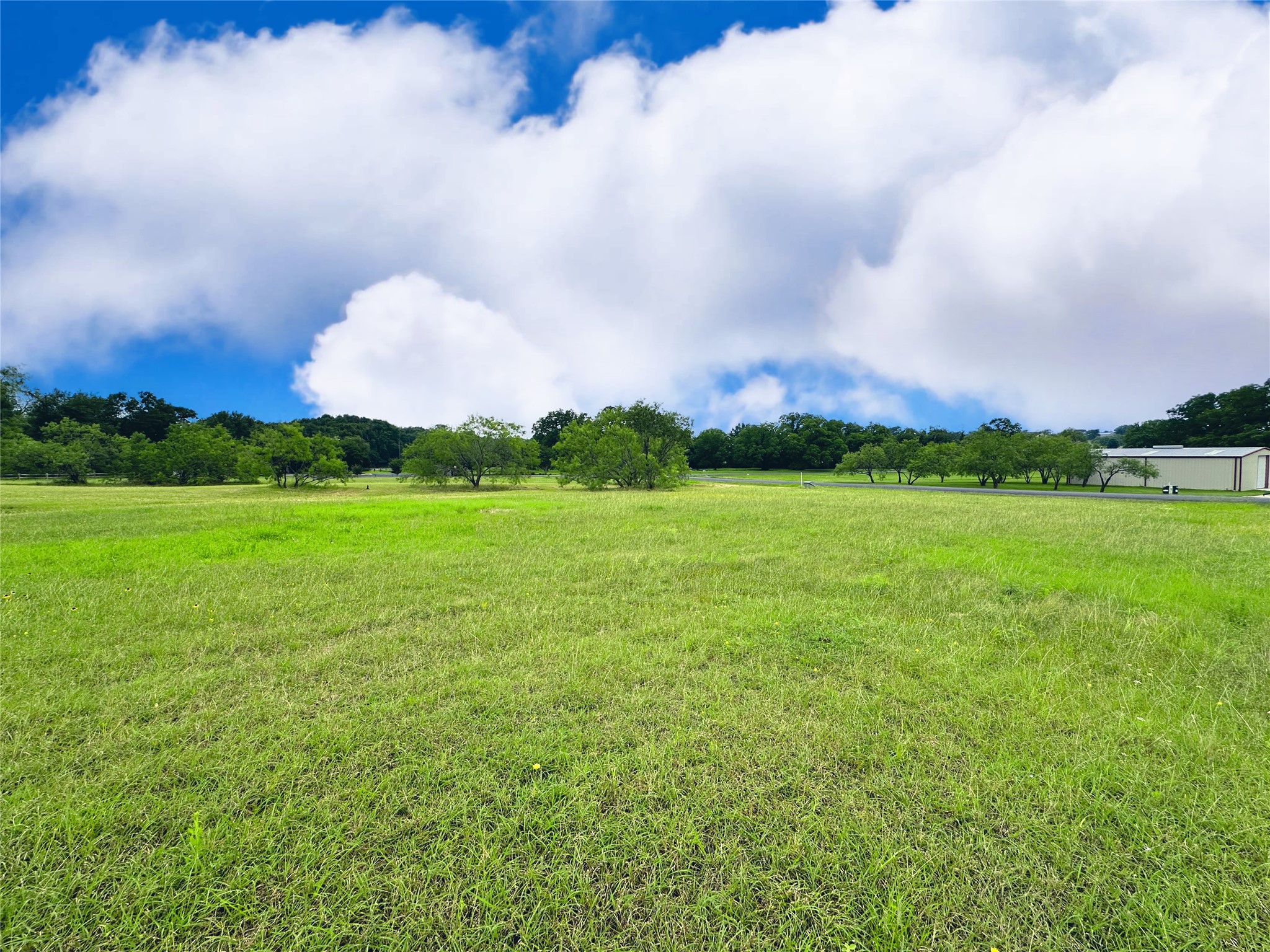 Lot 134 Lake Vista Drive Streetman TX 75859