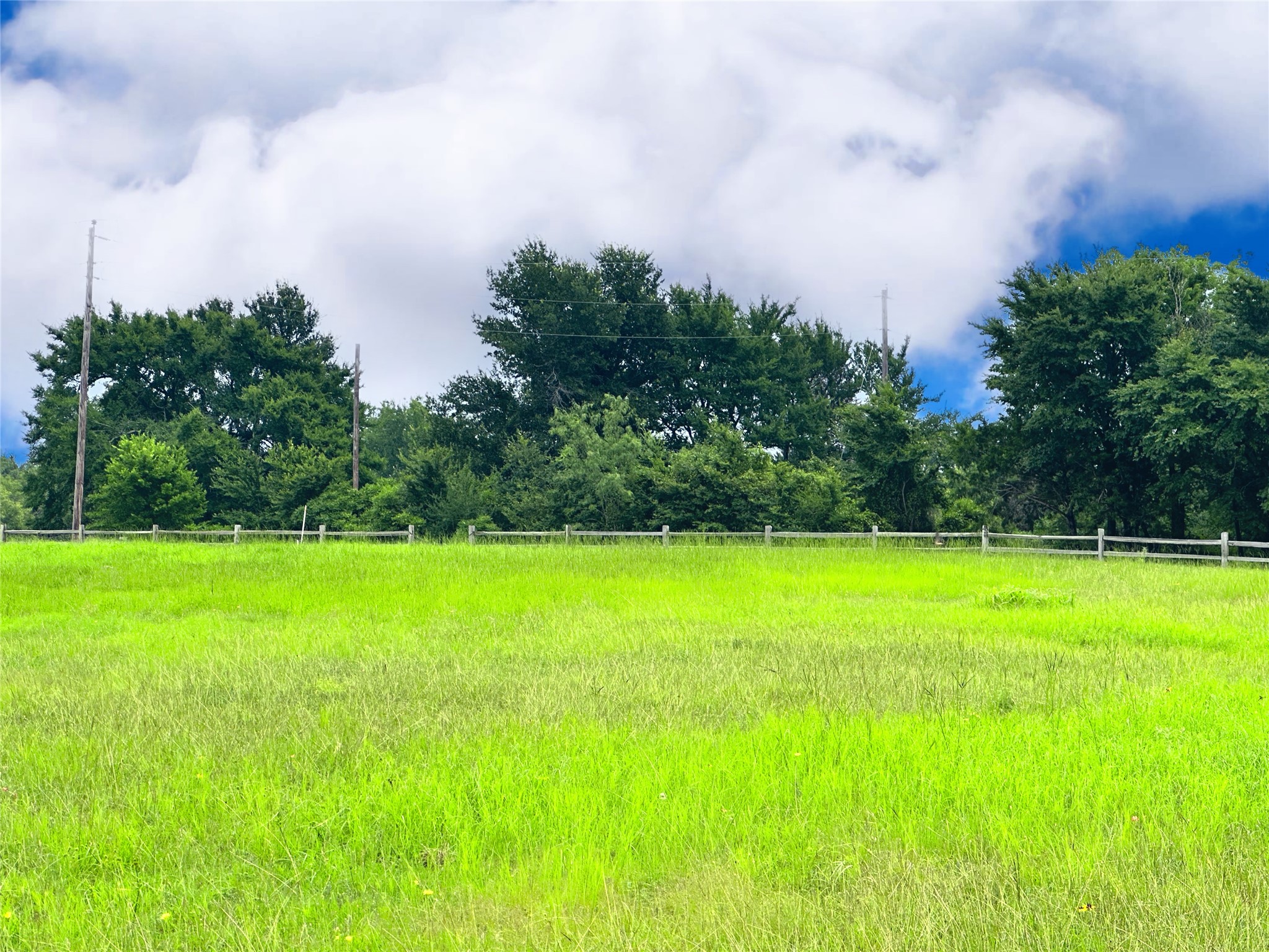 Lot 134 Lake Vista Drive Streetman TX 75859