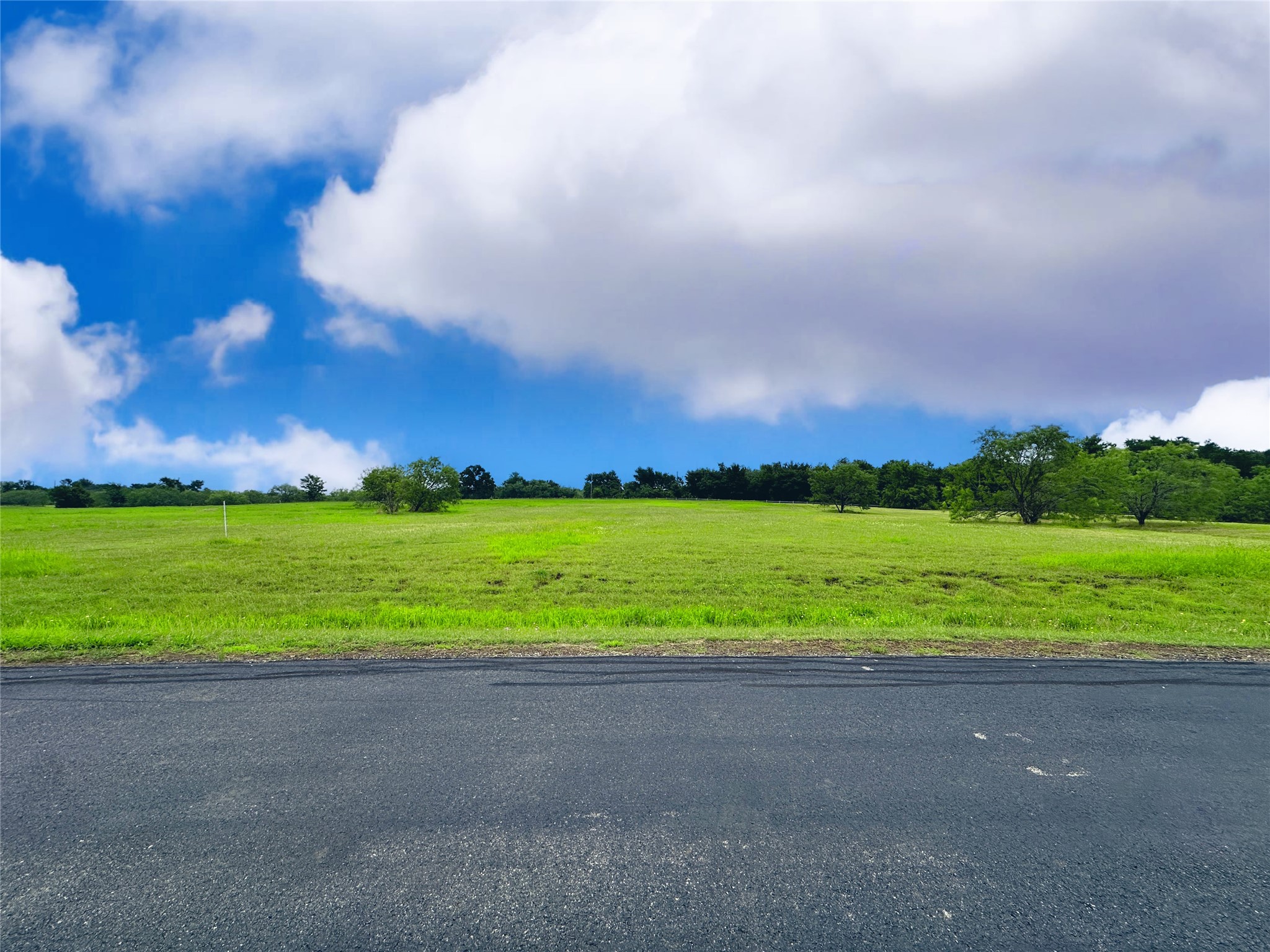 Lot 134 Lake Vista Drive Streetman TX 75859