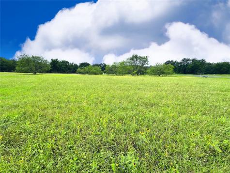 Lot 134 Lake Vista Drive Streetman TX 75859