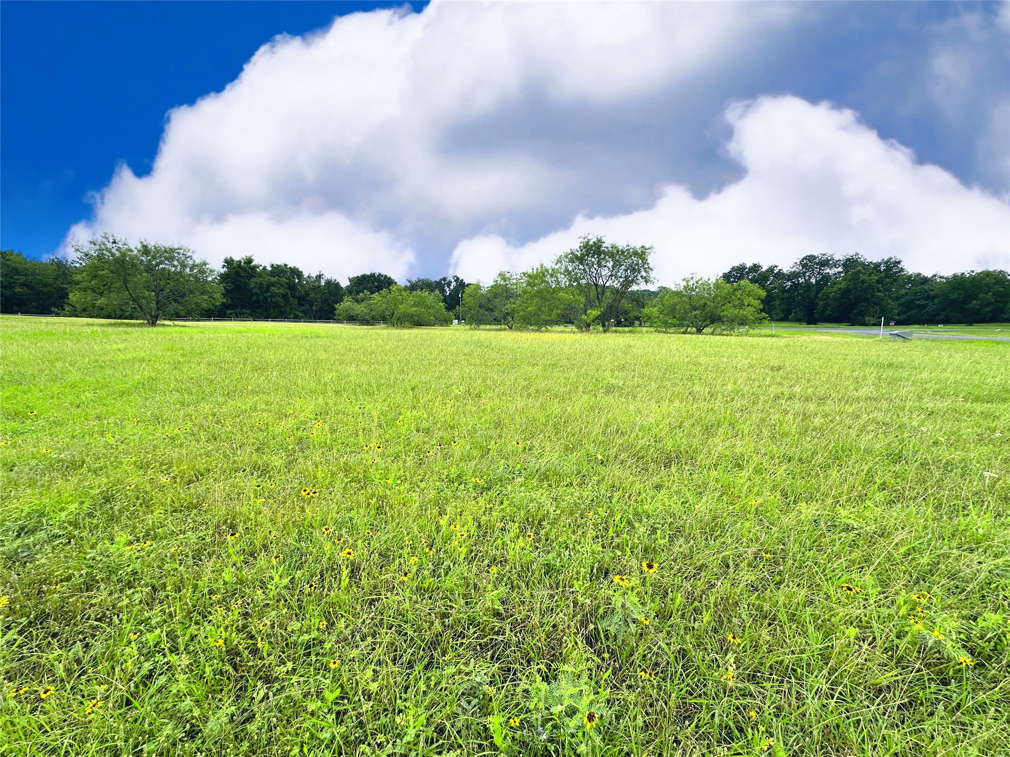 Lot 134 Lake Vista Drive Streetman TX 75859