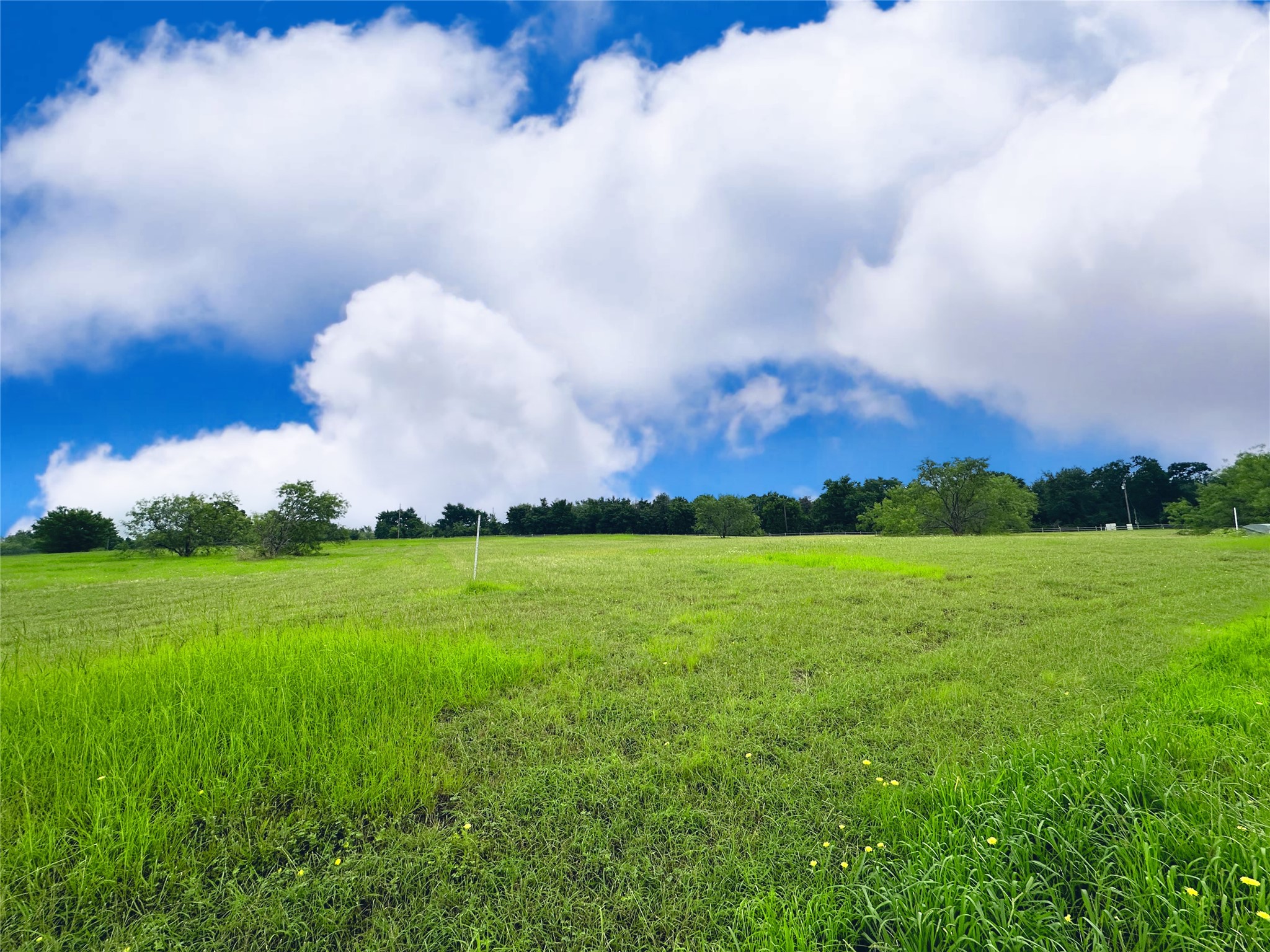 Lot 134 Lake Vista Drive Streetman TX 75859
