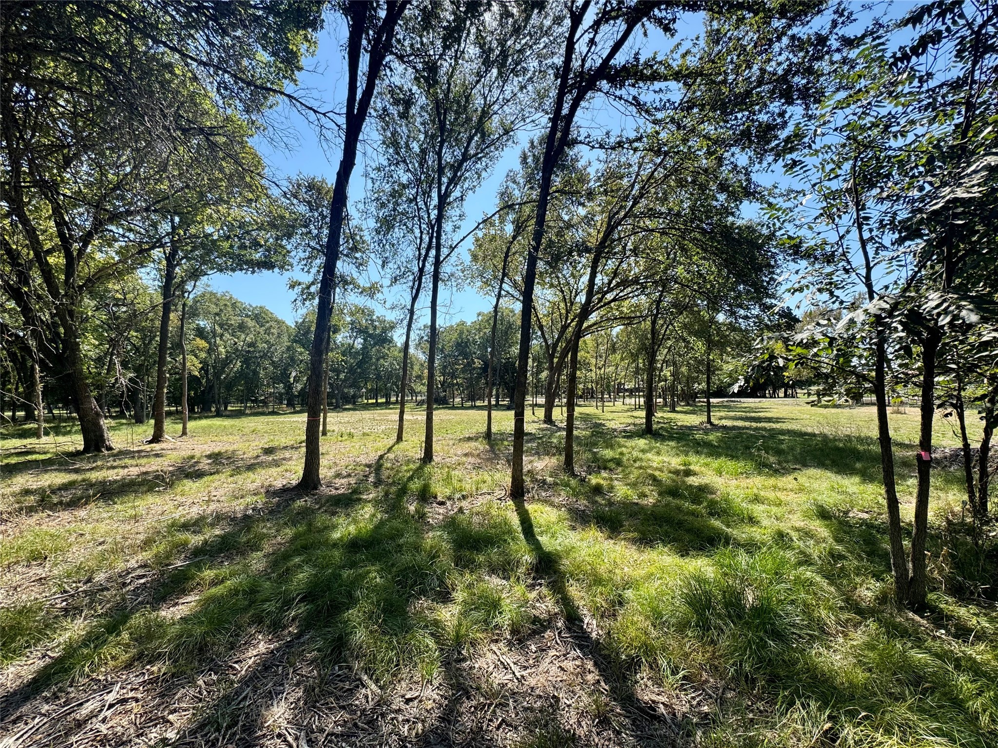 1325 Park Street Azle TX 76020