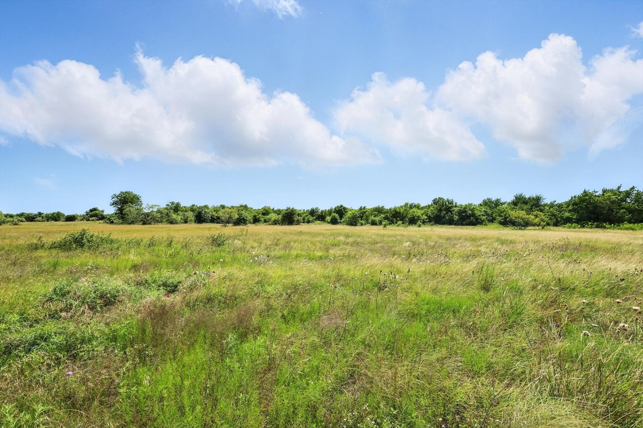 Lot 42 Longview Creek Trail Itasca TX 76055