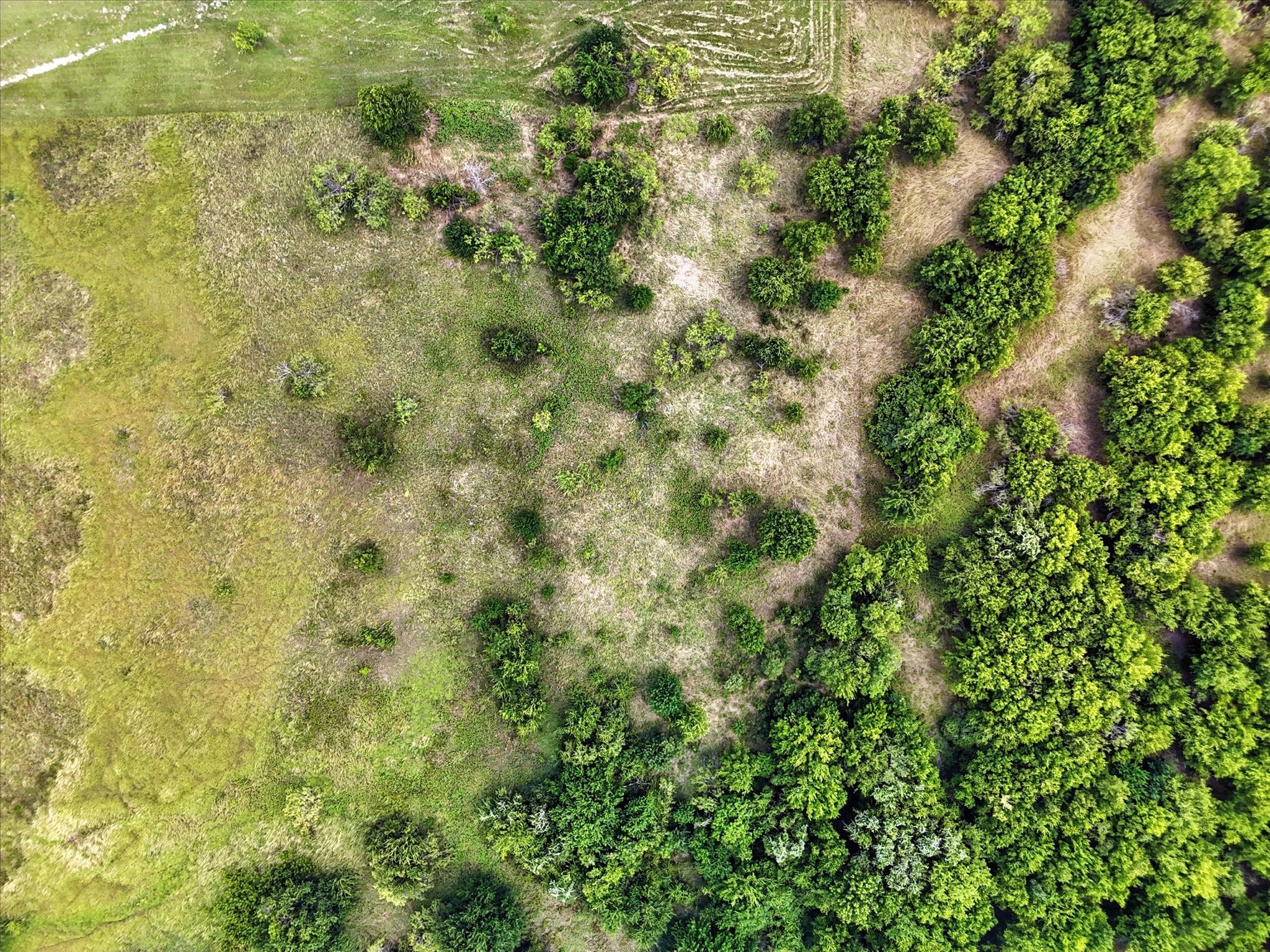 Lot 42 Longview Creek Trail Itasca TX 76055