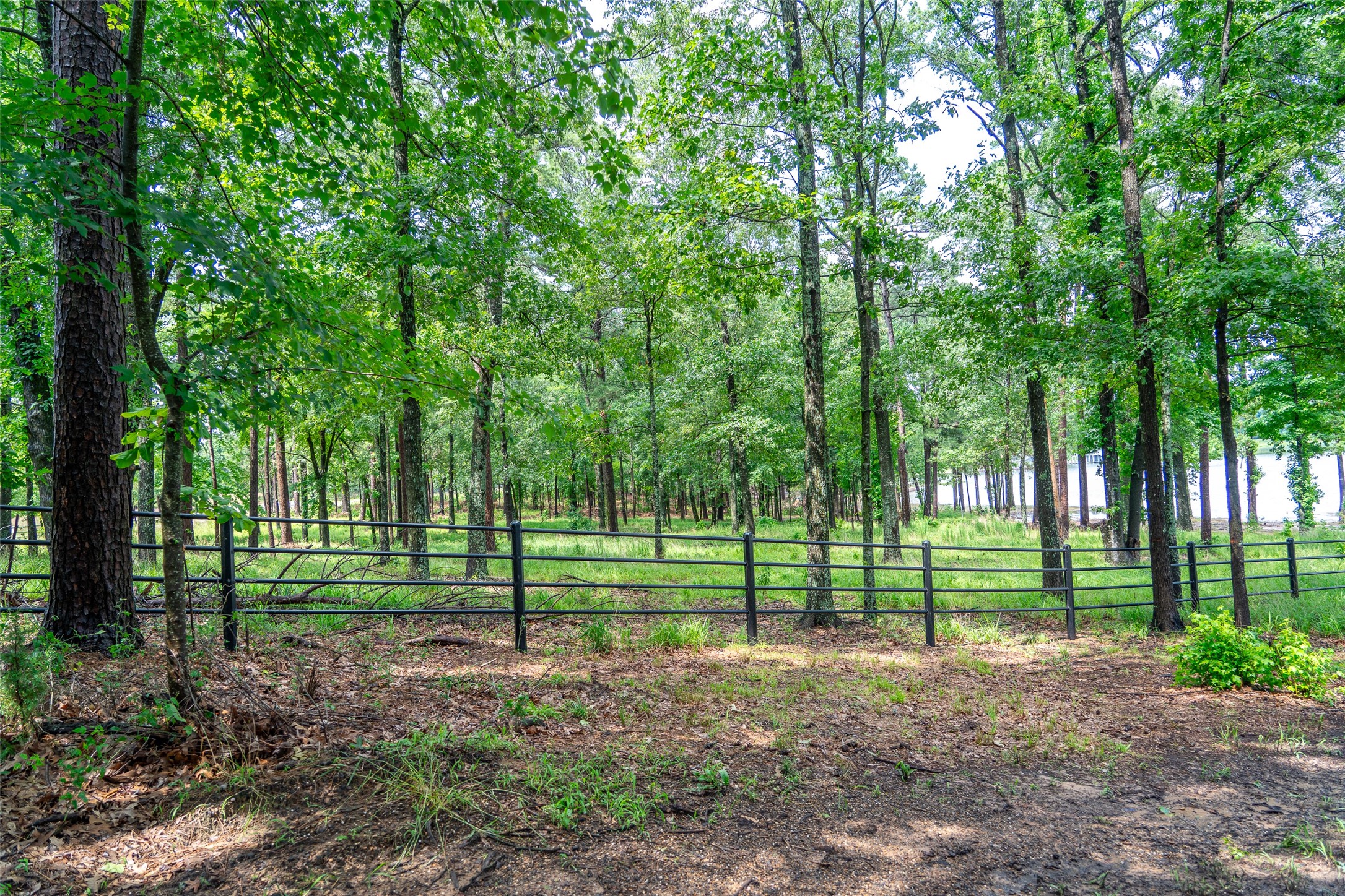 Lot 1 Ezelle Way Scroggins TX 75480