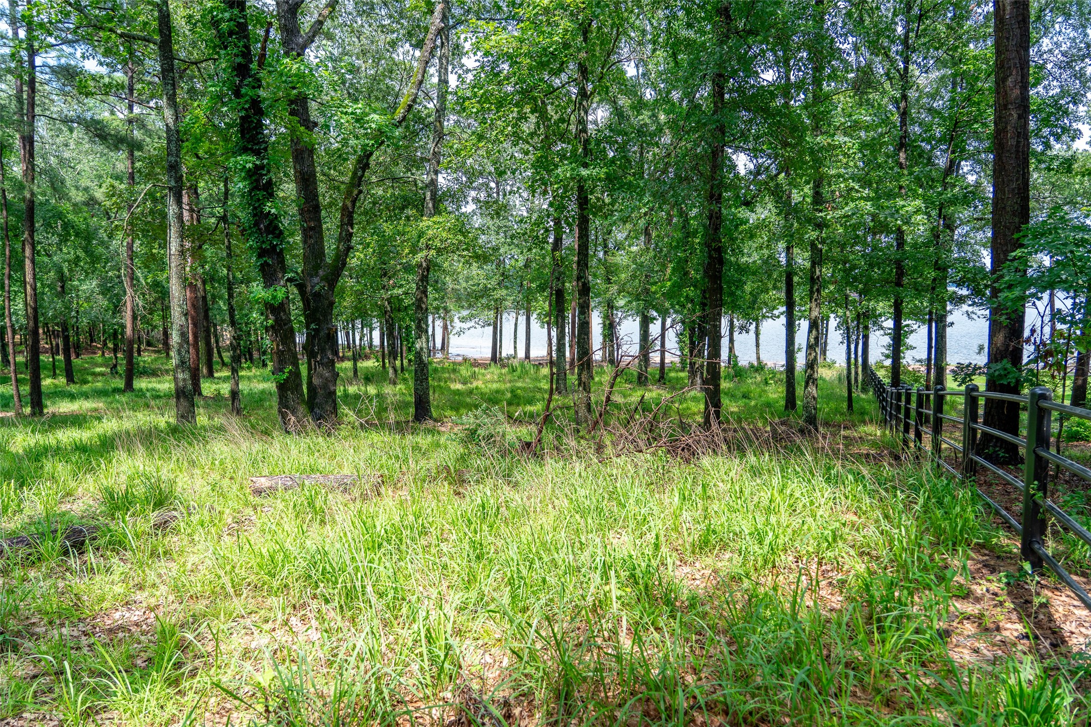 Lot 1 Ezelle Way Scroggins TX 75480