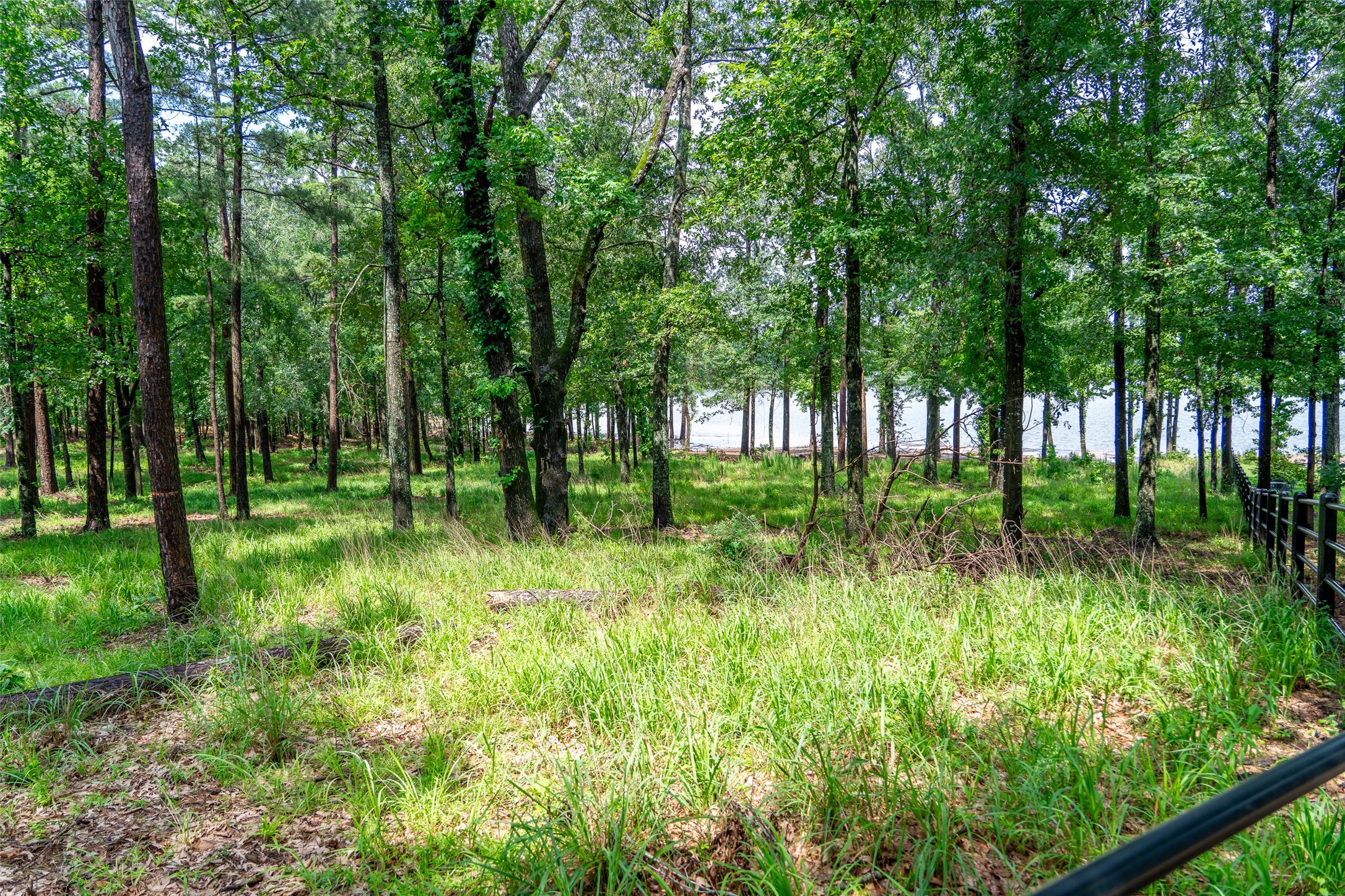 Lot 1 Ezelle Way Scroggins TX 75480