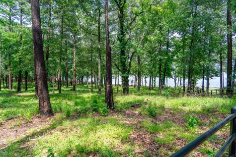 Lot 1 Ezelle Way Scroggins TX 75480
