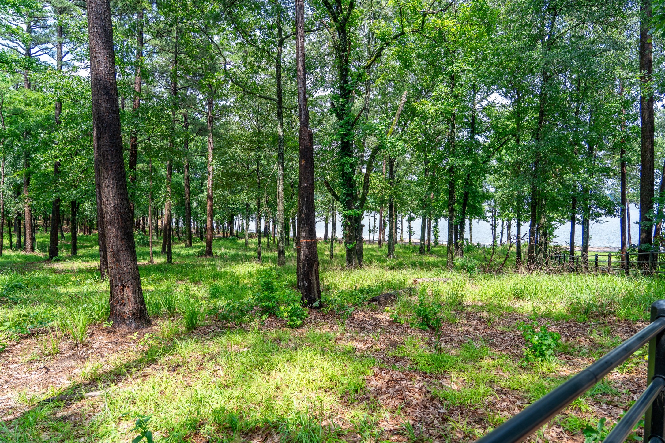 Lot 1 Ezelle Way Scroggins TX 75480
