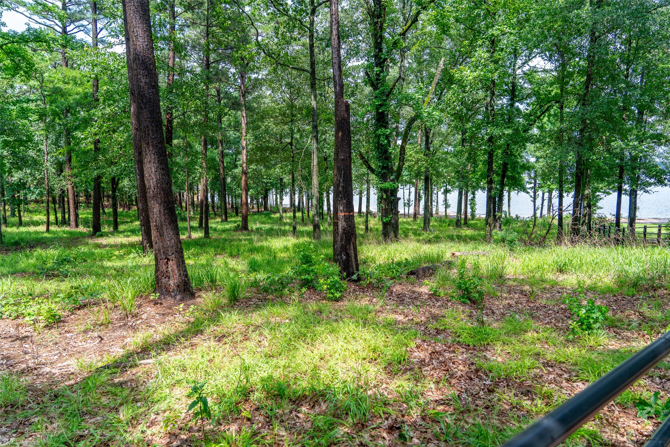 Lot 1 Ezelle Way Scroggins TX 75480