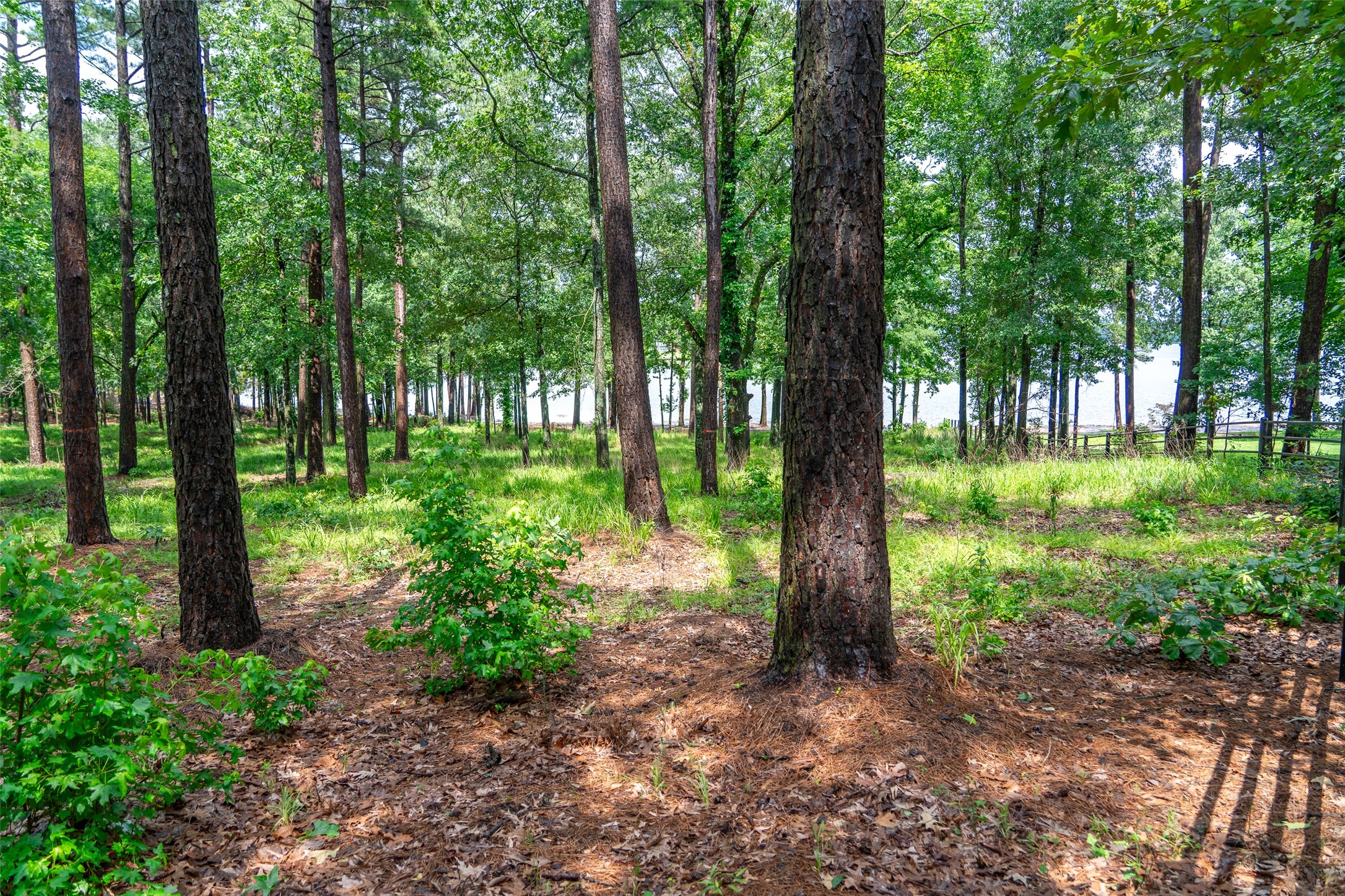 Lot 1 Ezelle Way Scroggins TX 75480