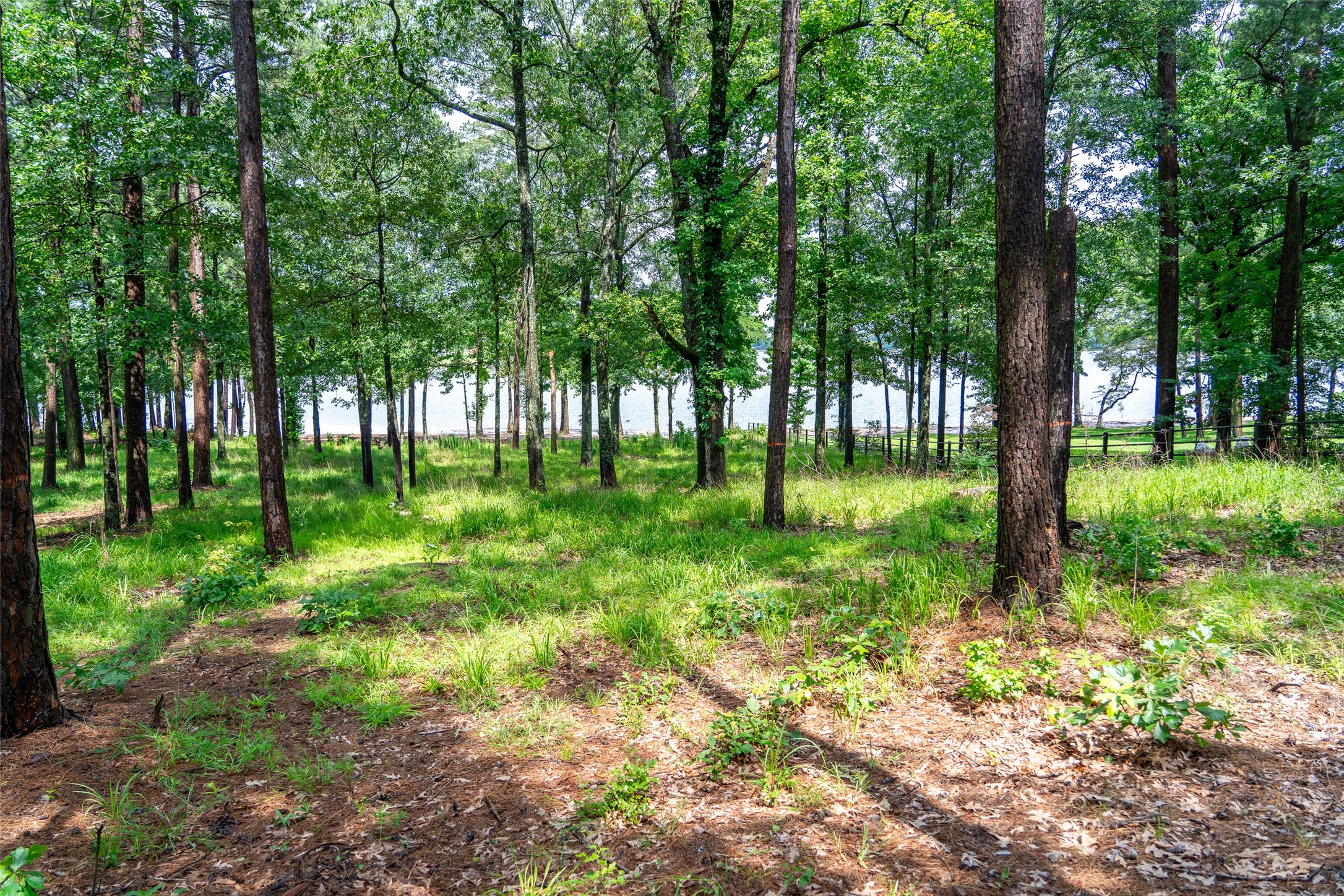 Lot 1 Ezelle Way Scroggins TX 75480