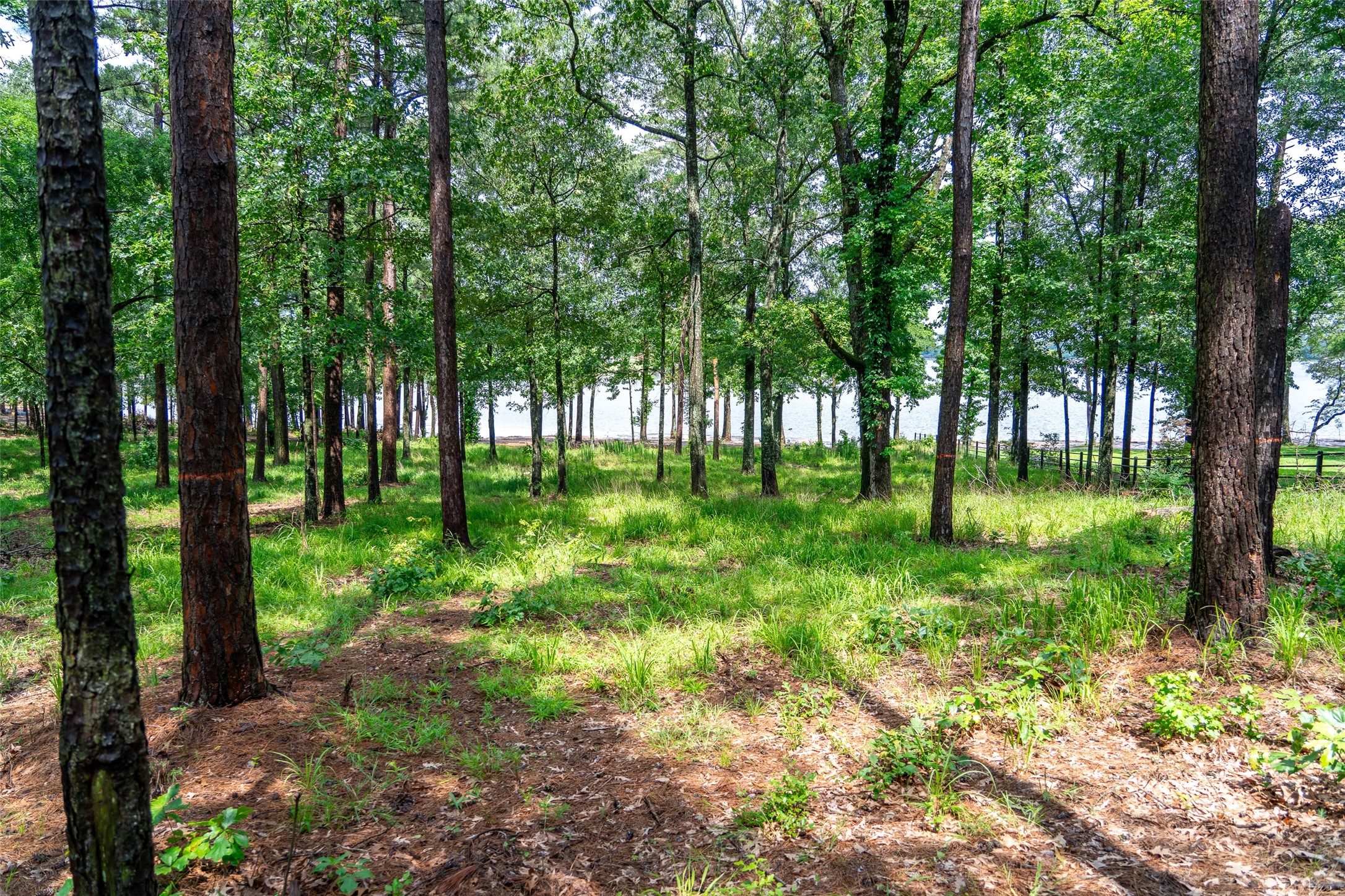 Lot 1 Ezelle Way Scroggins TX 75480