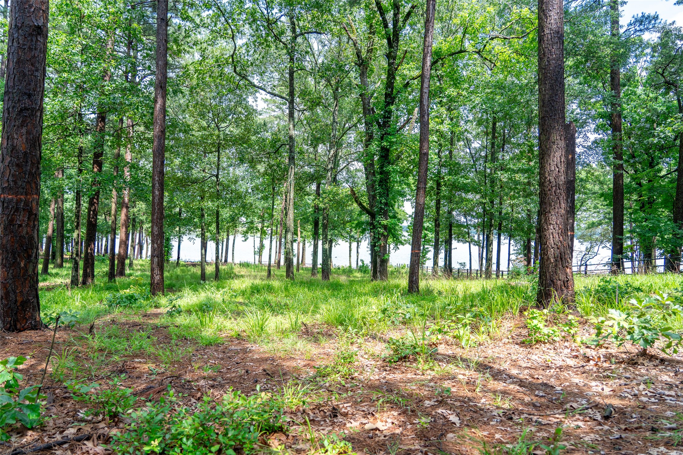 Lot 1 Ezelle Way Scroggins TX 75480