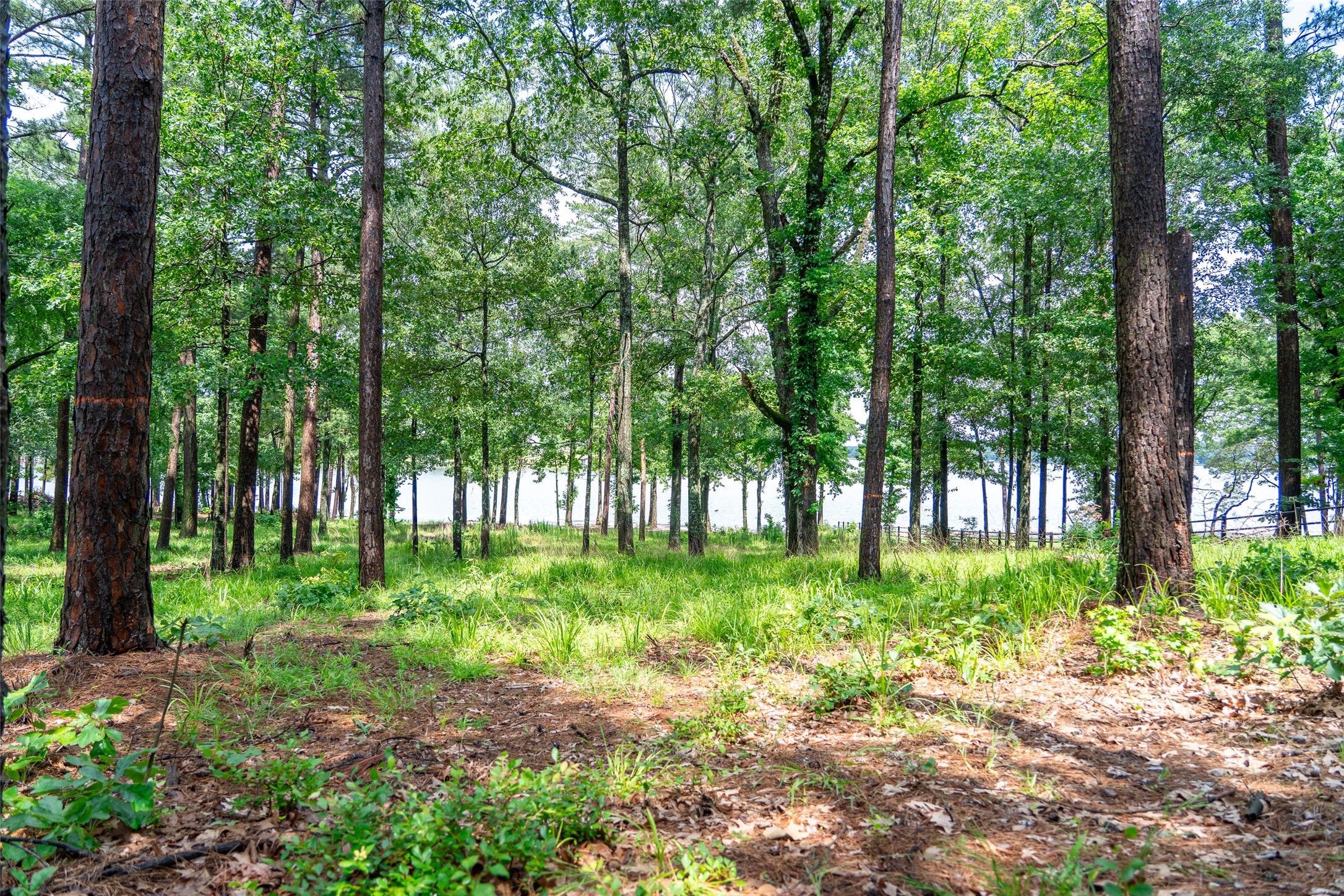 Lot 1 Ezelle Way Scroggins TX 75480