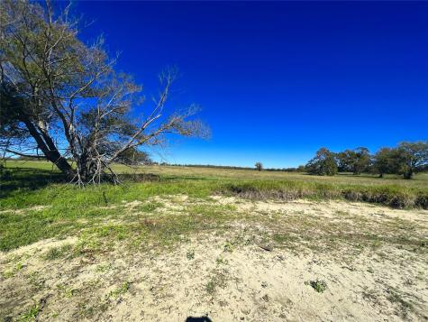 Lot 10 Triangle Shores Drive Corsicana TX 75109
