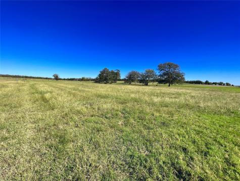 Lot 10 Triangle Shores Drive Corsicana TX 75109