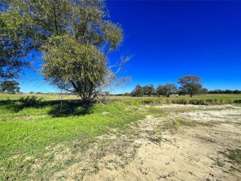Lot 10 Triangle Shores Drive Corsicana TX 75109