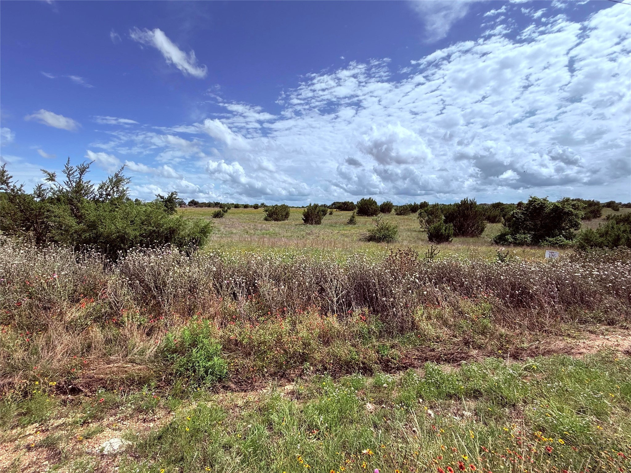 184 Gilmore Court Lipan TX 76462