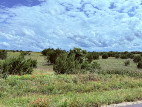 184 Gilmore Court Lipan TX 76462