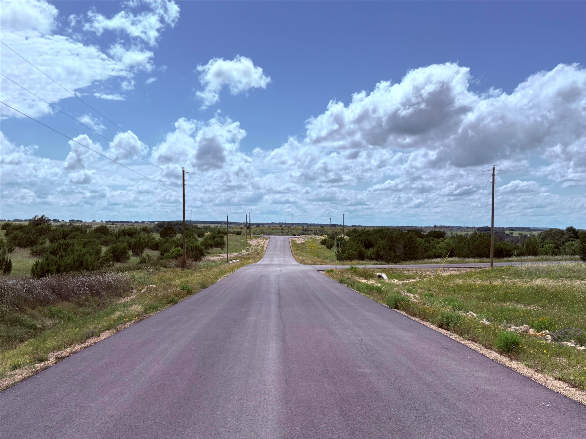184 Gilmore Court Lipan TX 76462