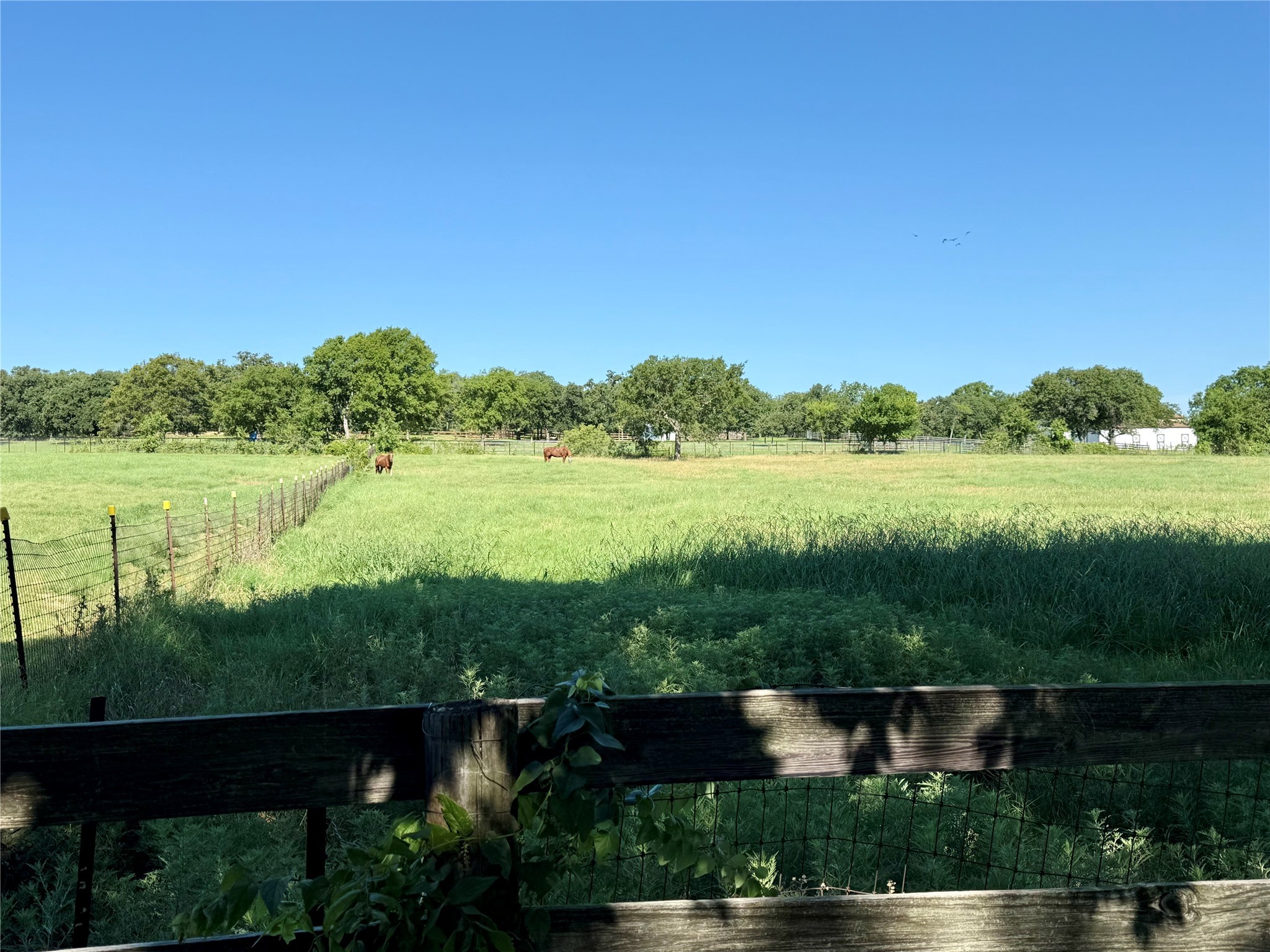 Tbd W Jeter Road Bartonville TX 76226