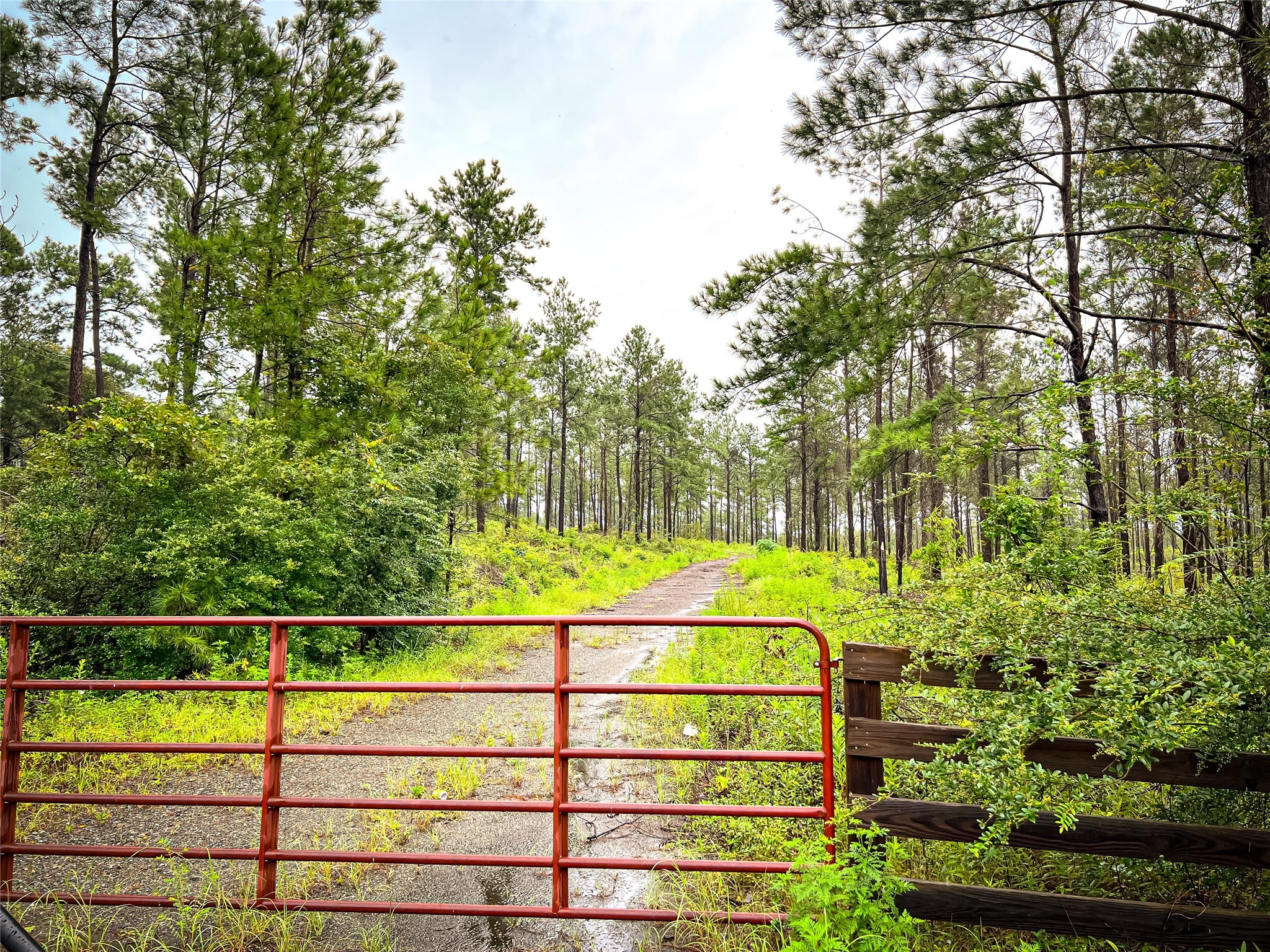 5 Cr 257 Jasper TX 75951