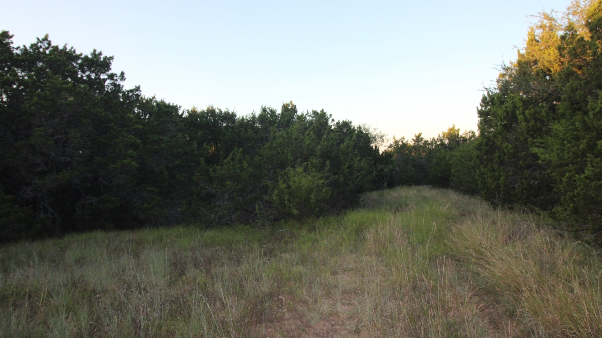 Tbd Old Coleman Abilene TX 79602