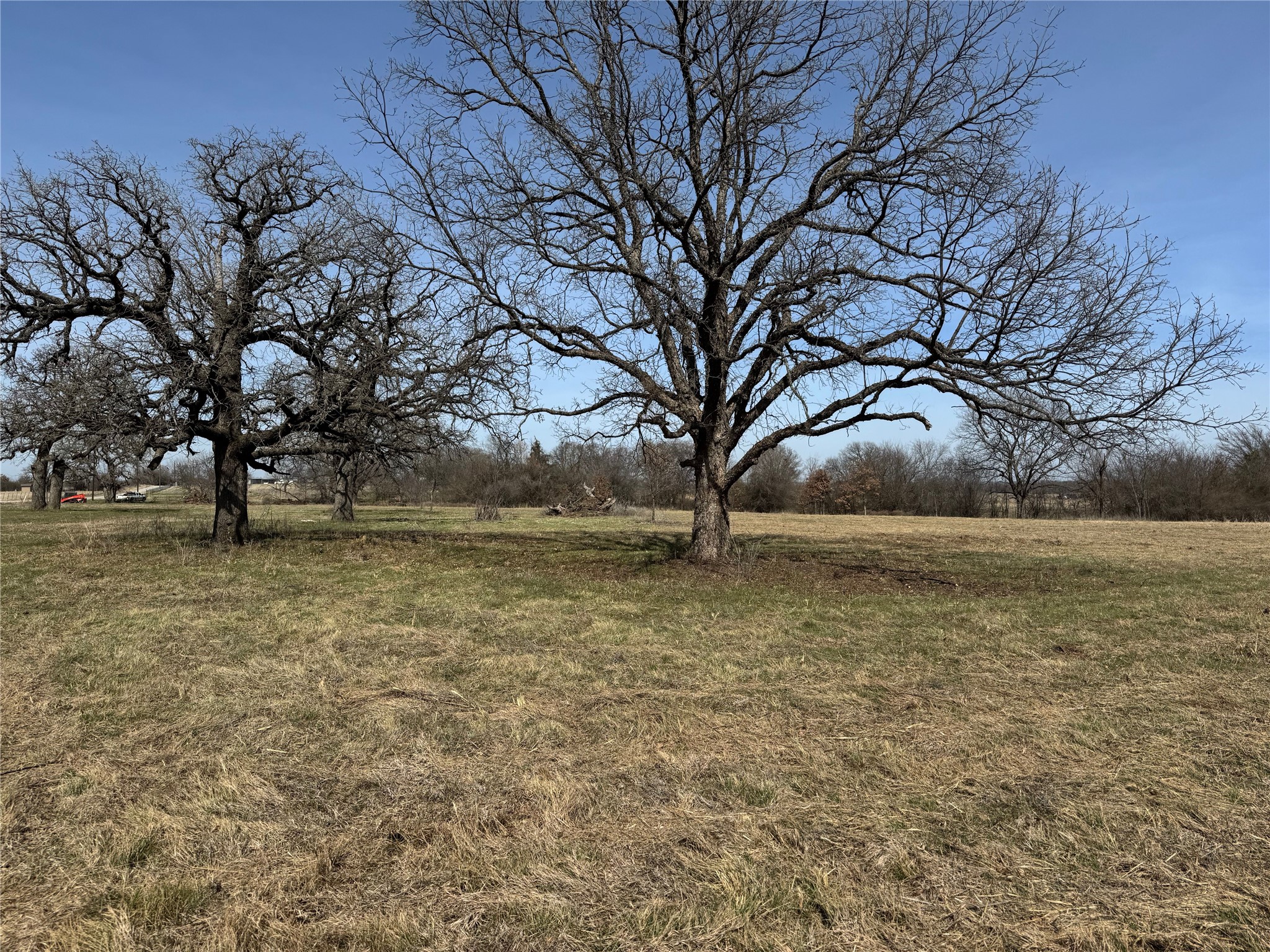 Lot 12 County Road 1346 Chico TX 76431