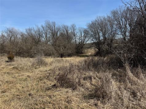 Lot 12 County Road 1346 Chico TX 76431
