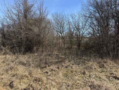 Lot 12 County Road 1346 Chico TX 76431