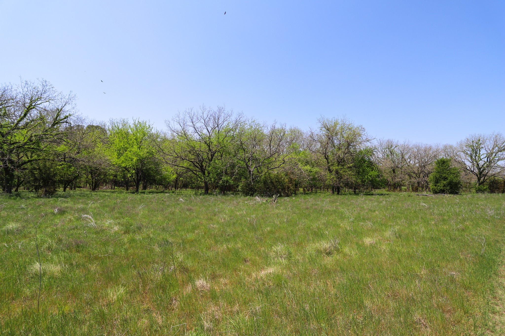 Tbd Oglesby Neff Park Road Moody TX 76557