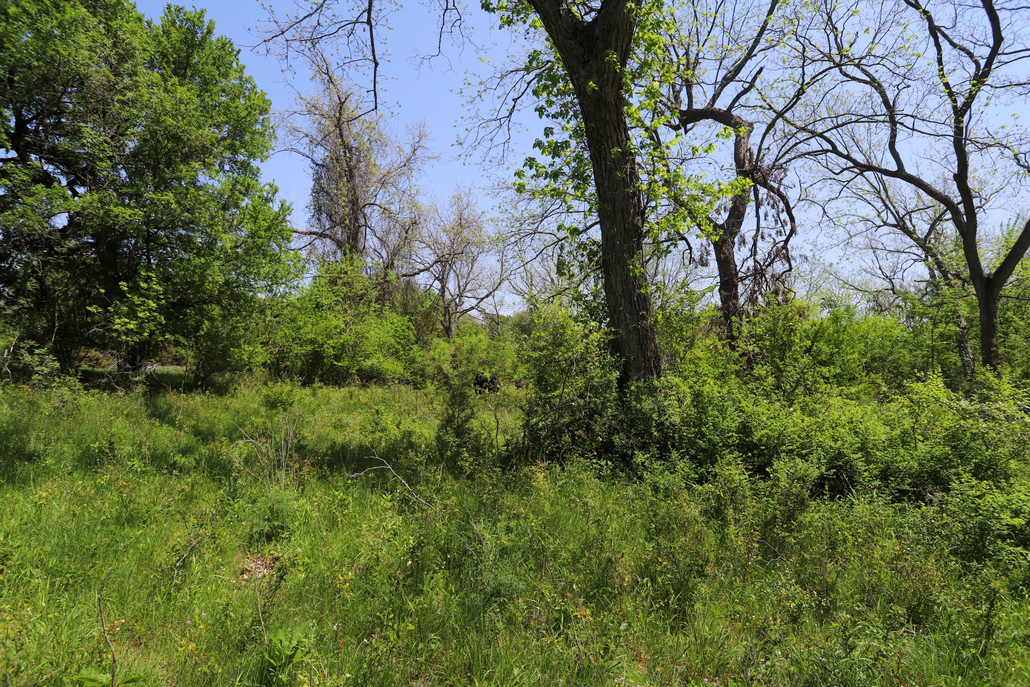 Tbd Oglesby Neff Park Road Moody TX 76557