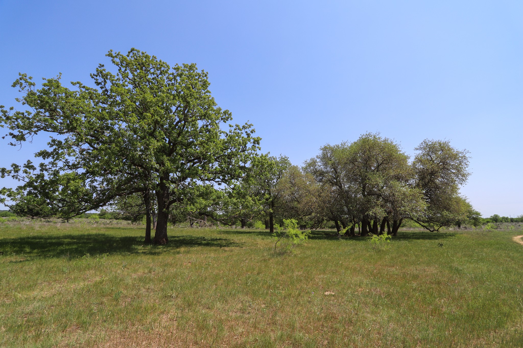 Tbd Oglesby Neff Park Road Moody TX 76557