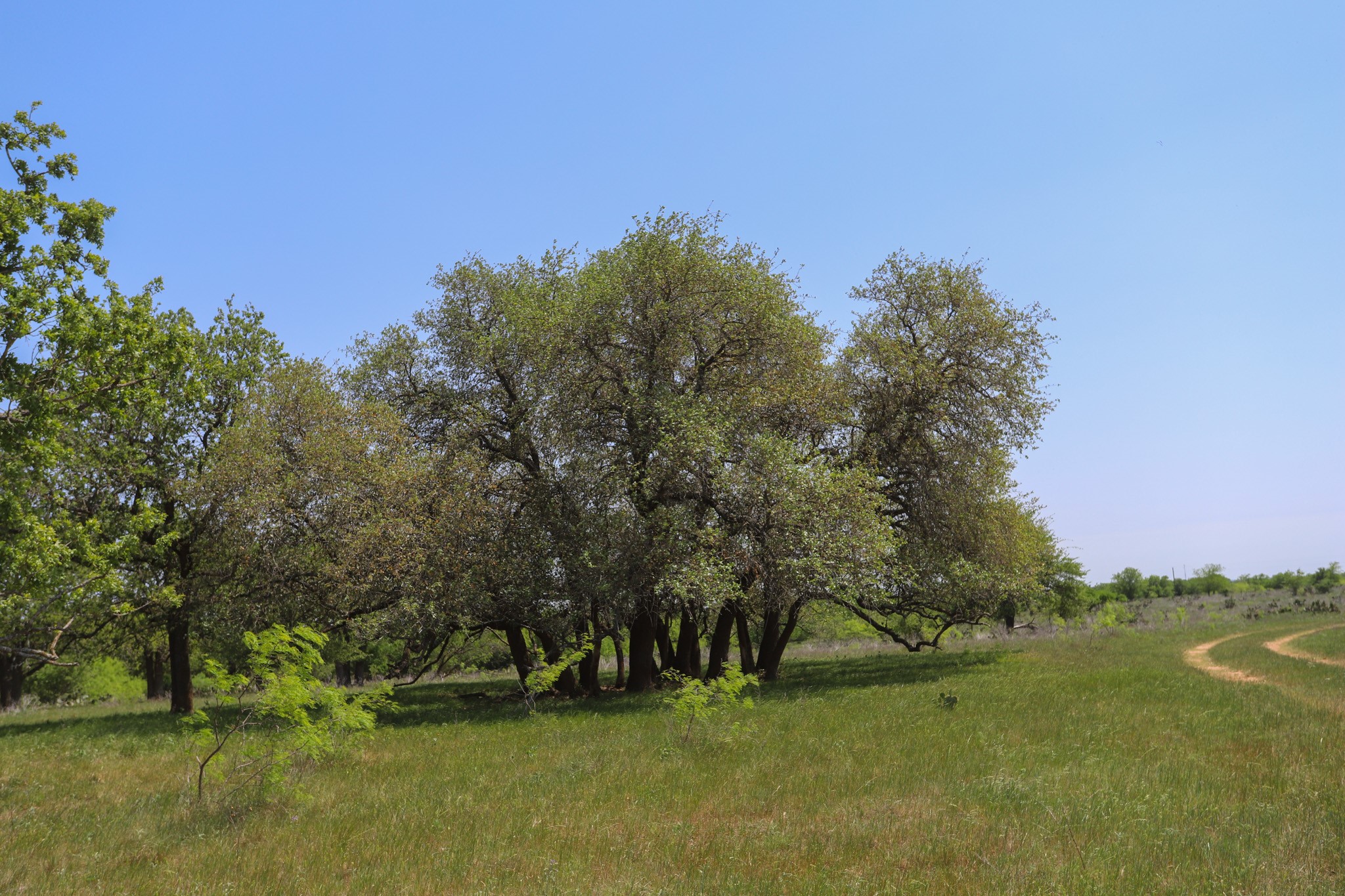 Tbd Oglesby Neff Park Road Moody TX 76557