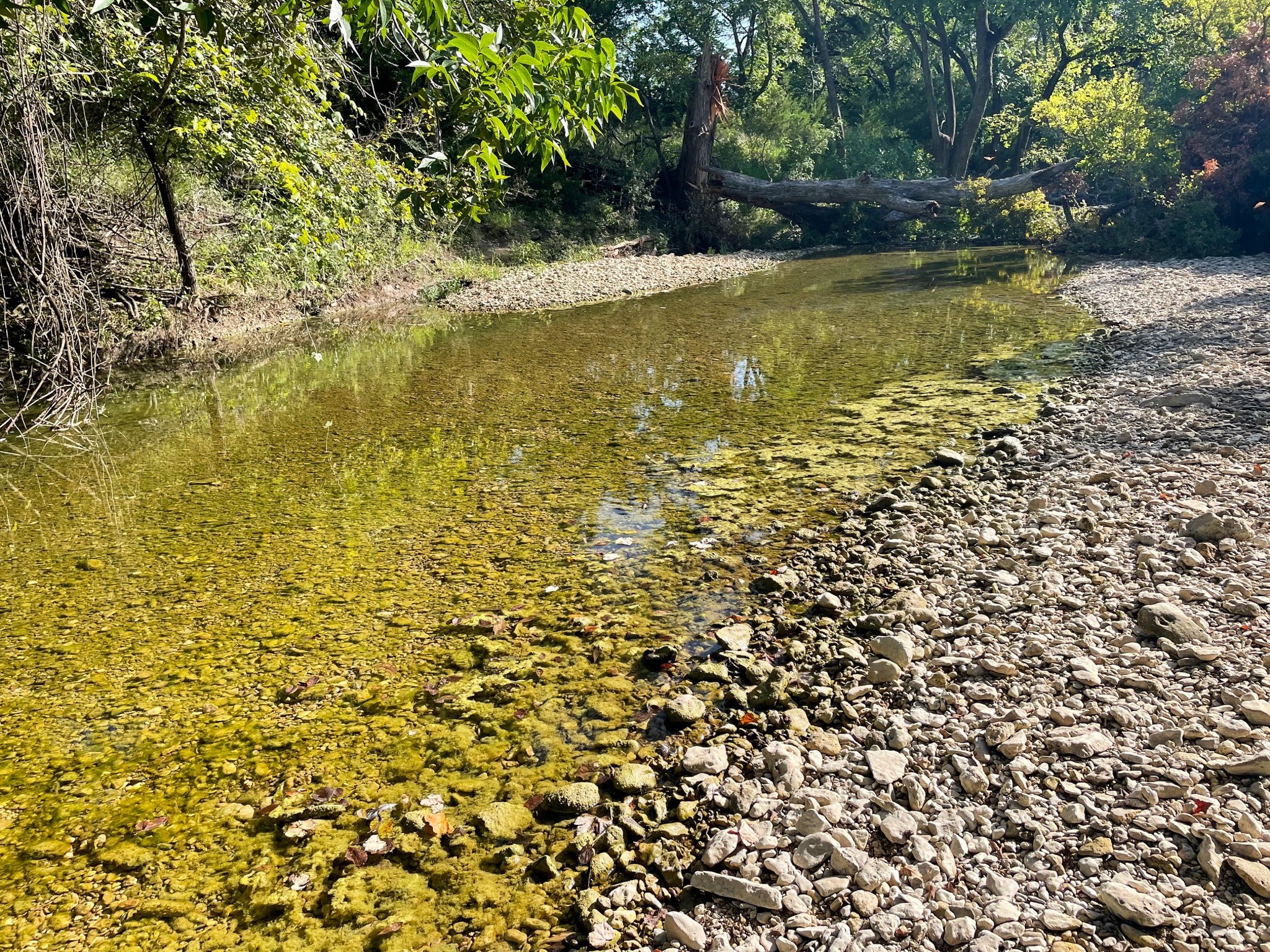 Tbd Oglesby Neff Park Road Moody TX 76557