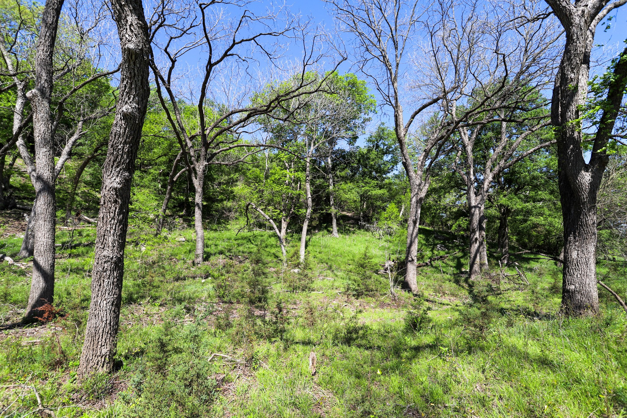 Tbd Oglesby Neff Park Road Moody TX 76557