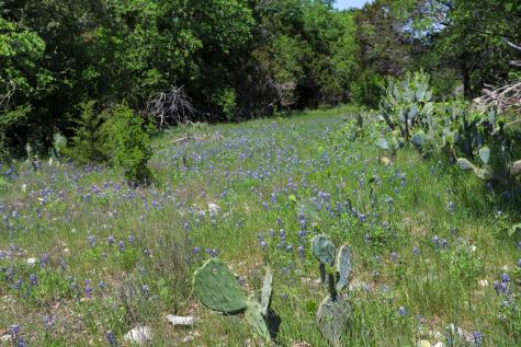Tbd Oglesby Neff Park Road Moody TX 76557