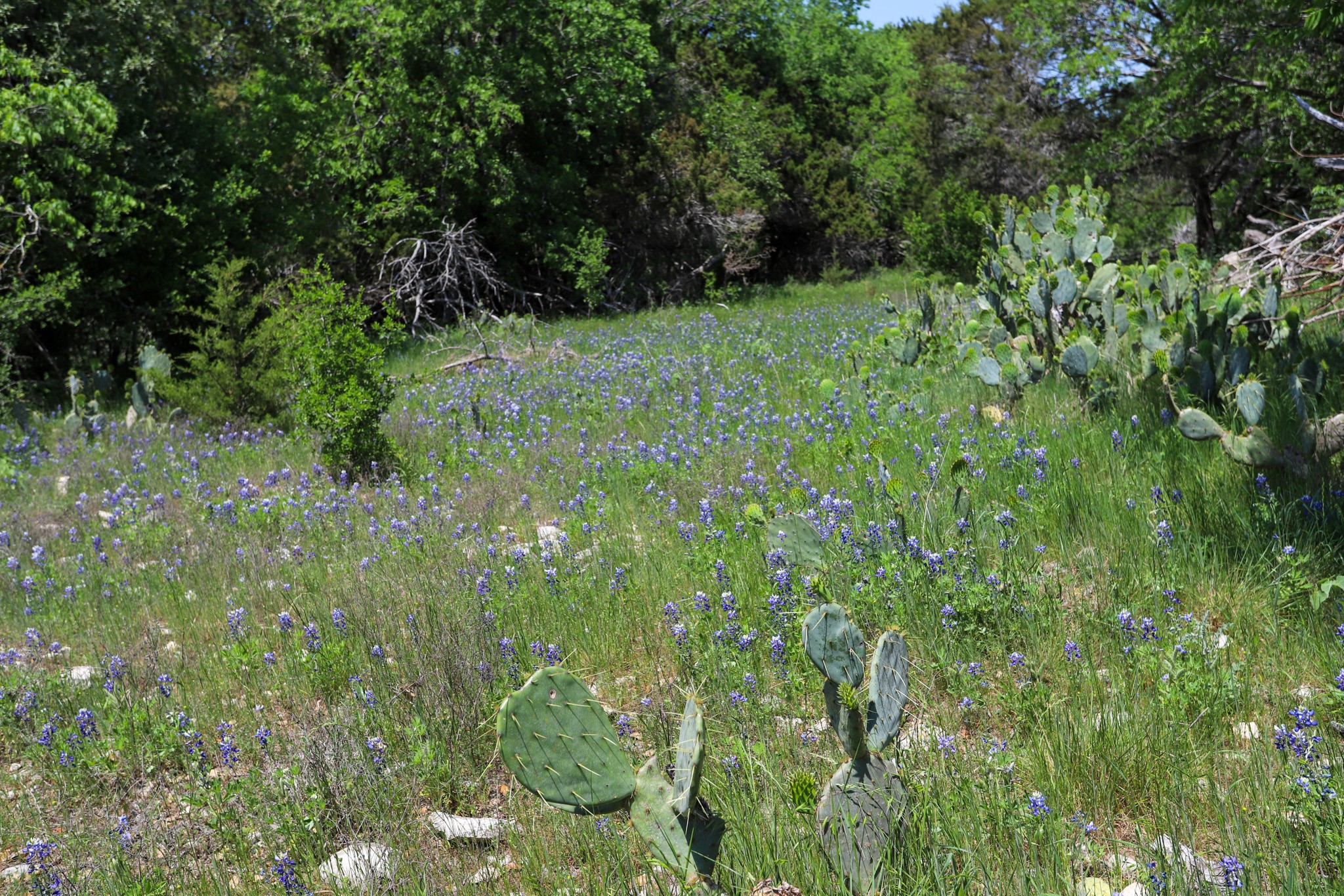 Tbd Oglesby Neff Park Road Moody TX 76557