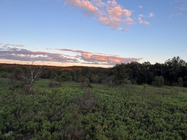 73 Ac Highway 16 Loving TX 76460
