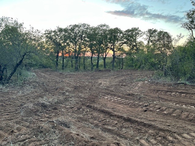 73 Ac Highway 16 Loving TX 76460