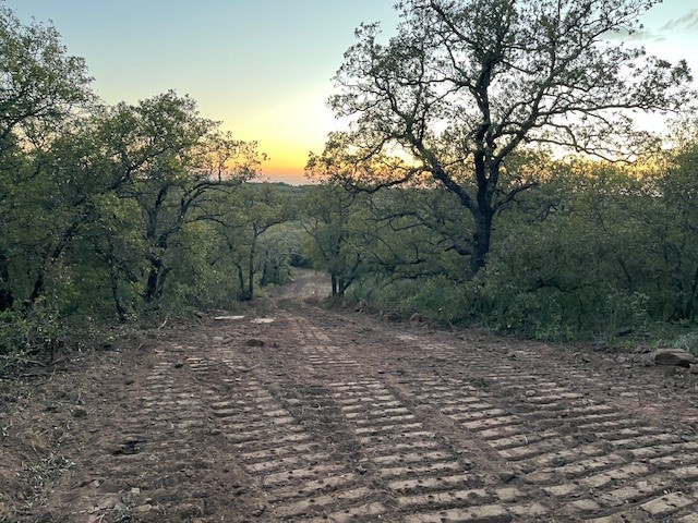 73 Ac Highway 16 Loving TX 76460
