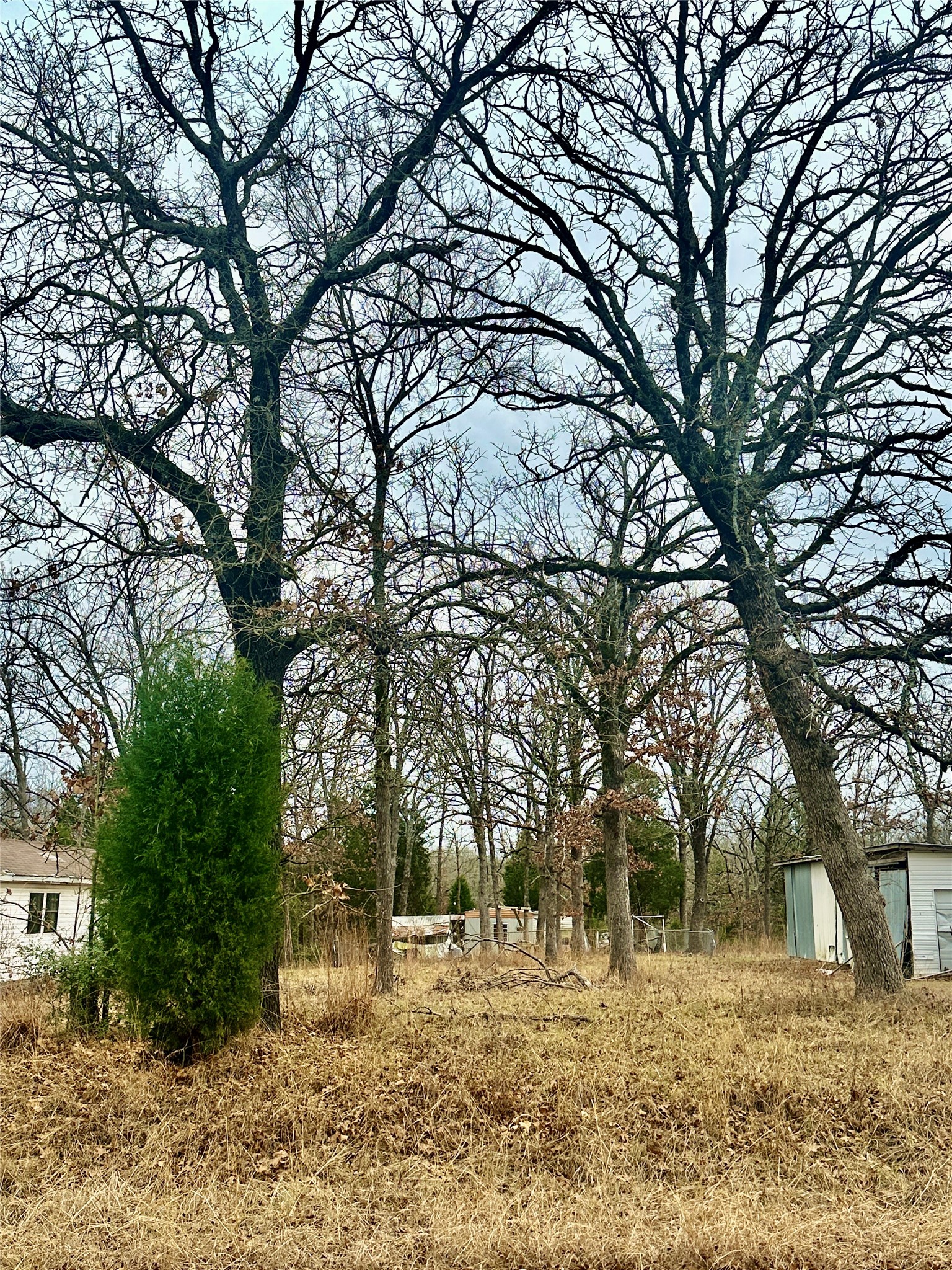 14543 San Jacinto Drive Log Cabin TX 75148