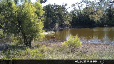 N/a Wayland Ranches Breckenridge TX 76424